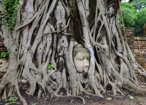 ワットマハタート